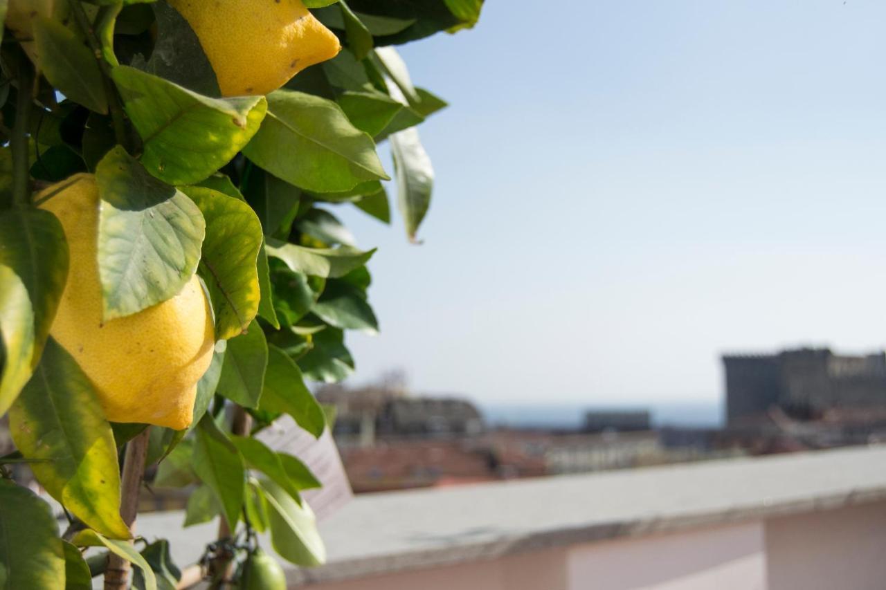 "Panoramic Terrazza - Napoli" Bed and Breakfast Exterior foto